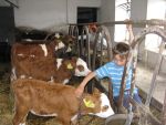 Bílé moře Vysočiny - výtvarná soutěž