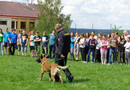 Výcvik policejních psů - ukázka