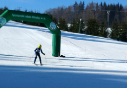 lyžařské závody ve slalomu