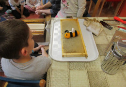 Povídání o včelkách ve školní družině